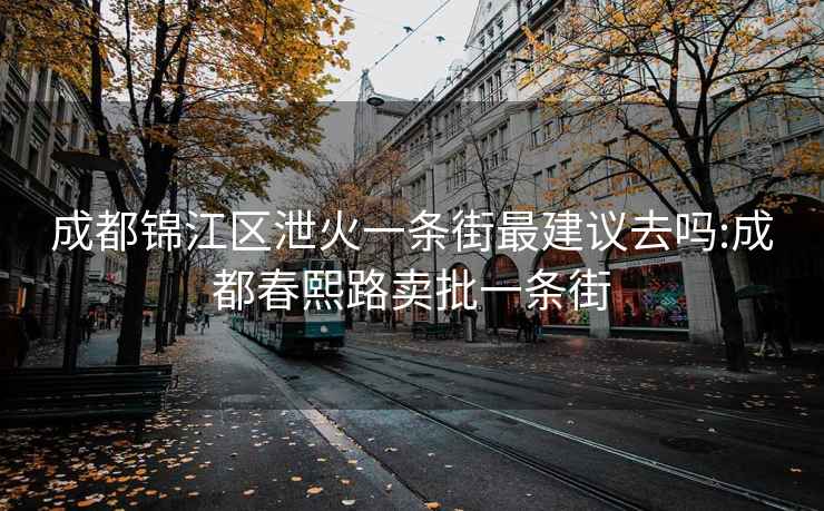 成都锦江区泄火一条街最建议去吗:成都春熙路卖批一条街