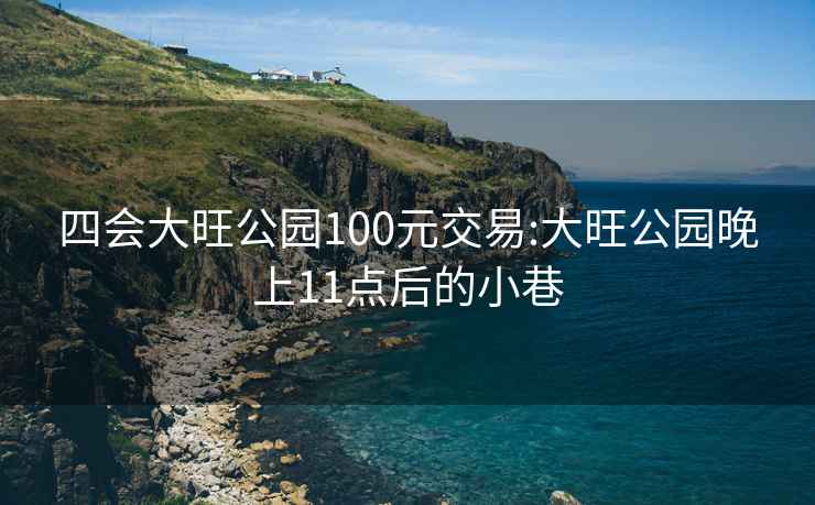 四会大旺公园100元交易:大旺公园晚上11点后的小巷