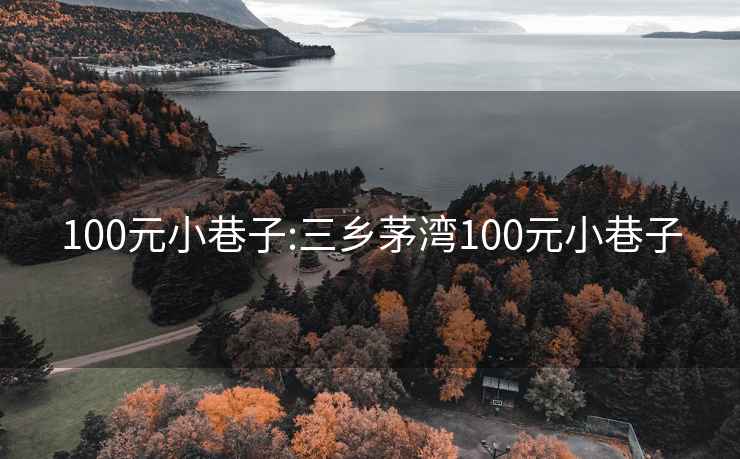 100元小巷子:三乡茅湾100元小巷子