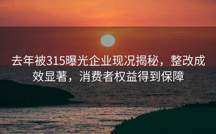 去年被315曝光企业现况揭秘，整改成效显著，消费者权益得到保障