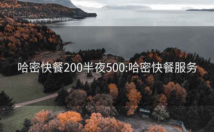 哈密快餐200半夜500:哈密快餐服务