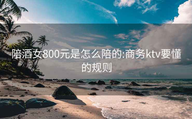 陪酒女800元是怎么陪的:商务ktv要懂的规则