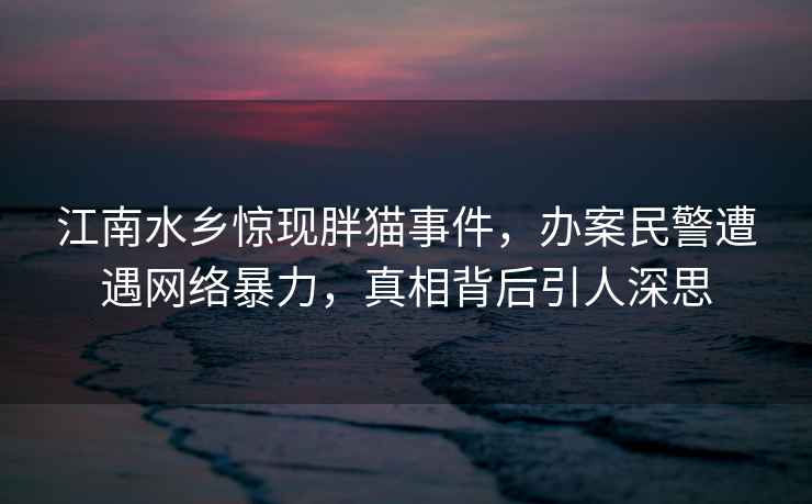 江南水乡惊现胖猫事件，办案民警遭遇网络暴力，真相背后引人深思