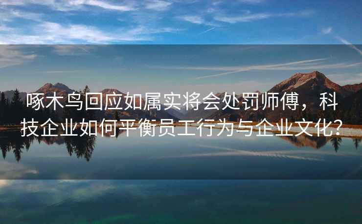 啄木鸟回应如属实将会处罚师傅，科技企业如何平衡员工行为与企业文化？