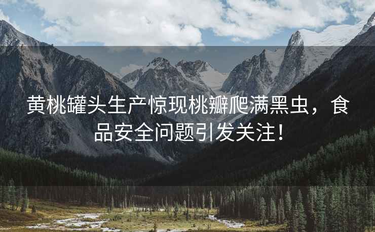 黄桃罐头生产惊现桃瓣爬满黑虫，食品安全问题引发关注！