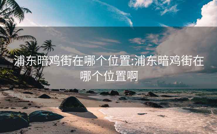 浦东暗鸡街在哪个位置:浦东暗鸡街在哪个位置啊