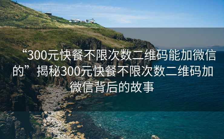 “300元快餐不限次数二维码能加微信的”揭秘300元快餐不限次数二维码加微信背后的故事