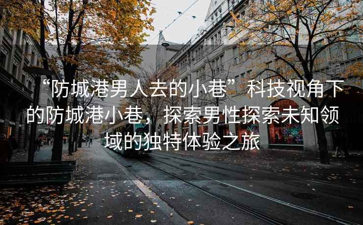 “防城港男人去的小巷”科技视角下的防城港小巷，探索男性探索未知领域的独特体验之旅