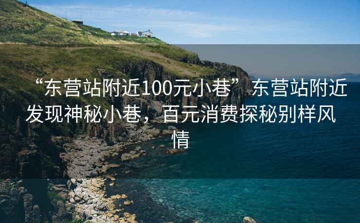 “东营站附近100元小巷”东营站附近发现神秘小巷，百元消费探秘别样风情