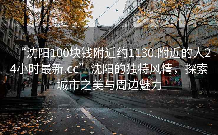 “沈阳100块钱附近约1130.附近的人24小时最新.cc”沈阳的独特风情，探索城市之美与周边魅力