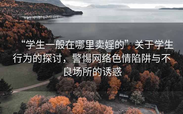 “学生一般在哪里卖婬的”关于学生行为的探讨，警惕网络色情陷阱与不良场所的诱惑