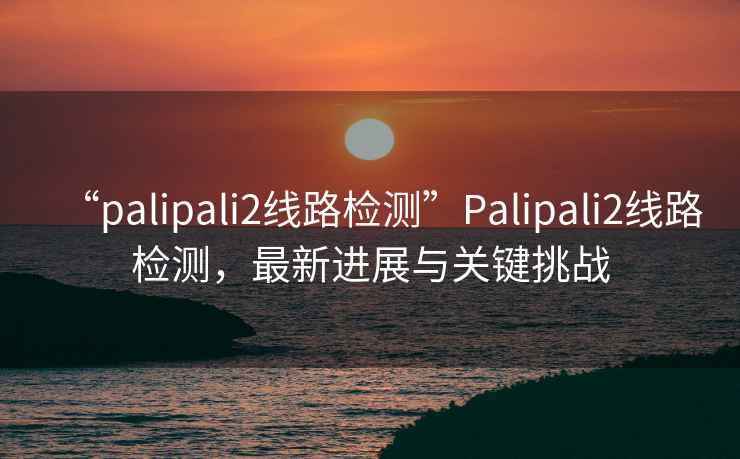 “palipali2线路检测”Palipali2线路检测，最新进展与关键挑战