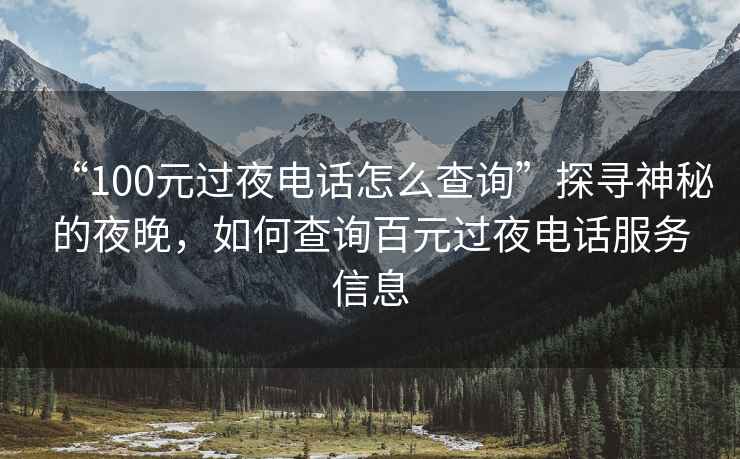 “100元过夜电话怎么查询”探寻神秘的夜晚，如何查询百元过夜电话服务信息