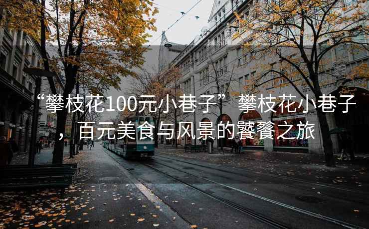 “攀枝花100元小巷子”攀枝花小巷子，百元美食与风景的饕餮之旅