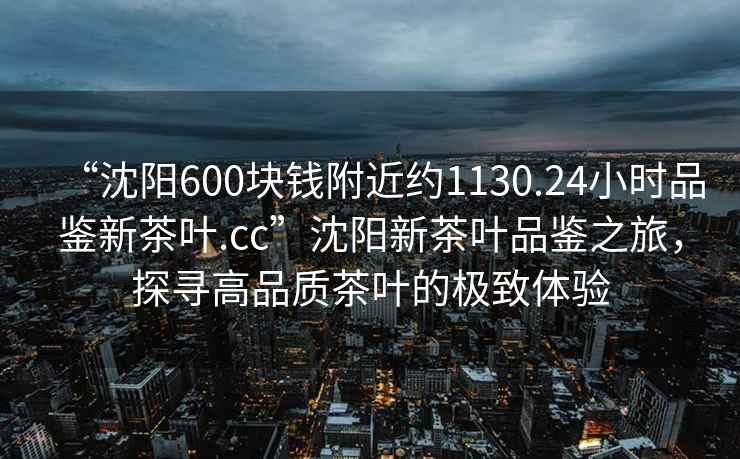 “沈阳600块钱附近约1130.24小时品鉴新茶叶.cc”沈阳新茶叶品鉴之旅，探寻高品质茶叶的极致体验